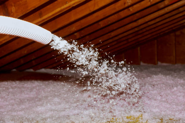 Best Insulation Installation Services in Nampa, ID